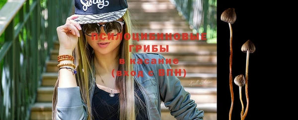 амф Арсеньев