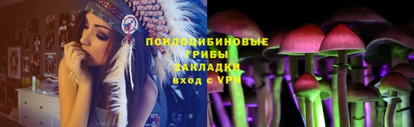 амф Арсеньев