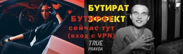 сатива Аркадак