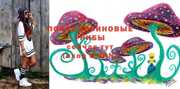 сатива Каменка