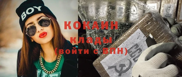 сатива Аркадак