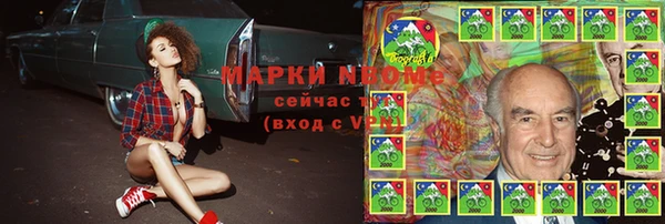 сатива Аркадак